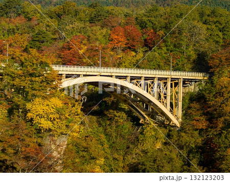鳴子峡の紅葉 132123203