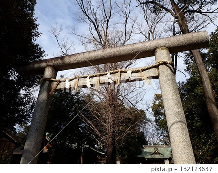 八雲氷川神社 132123637