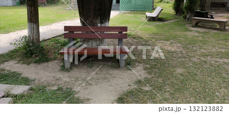 Public Park Empty Wooden Bench Under Tree in Daytime Natural Greenery Peaceful Outdoor Relaxation Scene 132123882