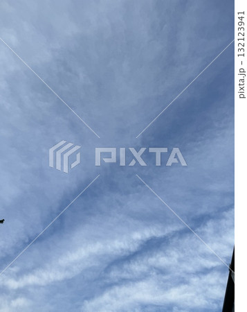 青空に薄い雲が広がっている&木と建物/The sky 青空に薄い雲が広がっている&木と建物/The sky 132123941