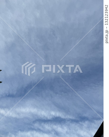 青空に薄い雲が広がっている&木と建物/The sky 132123942