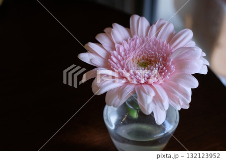 カフェテーブルに置かれたガーベラの花 132123952