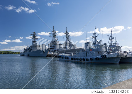 青森県むつ市大湊　宇田・海と桜の公園からの眺め 132124298