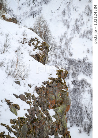Snowy Cliff with Sparse Trees in Winter 132124584