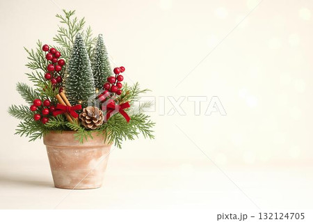 ナチュラルクリスマスリースと冬のインテリア装飾 ナチュラルクリスマスリースと冬のインテリア装飾 132124705