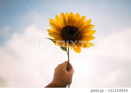 Hand holding a bright sunflower against a clear sky on a sunny day, symbolizing summer and positivity 132124924