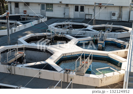 水産試験場の屋外水槽群と実験設備 水産試験場の屋外水槽群と実験設備 132124952