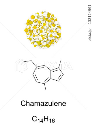 Chamomile flowers, and chamazulene, chemical formula and molecular structure. Fresh flower heads of Matricaria chamomilla, contain a blue-violet azulene derivative, with anti-inflammatory properties. Chamomile flowers, and chamazulene, chemical formula and molecular structure. Fresh flower heads of Matricaria chamomilla, contain a blue-violet azulene derivative, with anti-inflammatory properties. 132124961