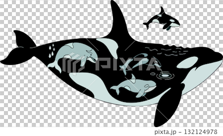 Orca whale silhouette filled with pod of dolphins in graphic vector style showing marine life interconnectedness 132124978