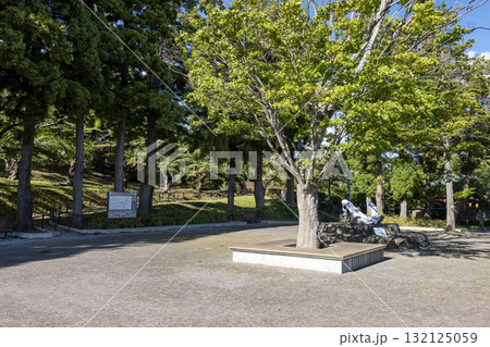 青森県むつ市大湊 水源地公園 青森県むつ市大湊 水源地公園 132125059