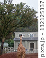 キリンのいる風景 132125337