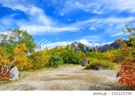 立山黒部アルペンルート 黒部平の絶景 富山県 立山黒部アルペンルート 黒部平の絶景 富山県 132125356