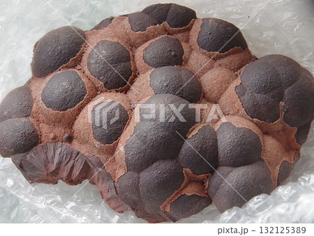 ヘマタイト ヘマタイト 132125389