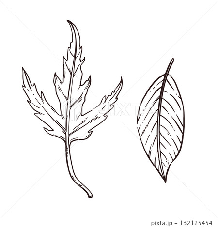 Set of vector illustrations of autumn leaves, maple leaf, chestnut leaf. All objects are hand-drawn in ink and converted into vector. Perfect for printing on fabric, paper, for design. Set of vector illustrations of autumn leaves, maple leaf, chestnut leaf. All objects are hand-drawn in ink and converted into vector. Perfect for printing on fabric, paper, for design. 132125454