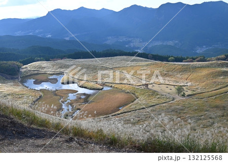 10月、奈良曽爾高原、照らされるススキ 132125568