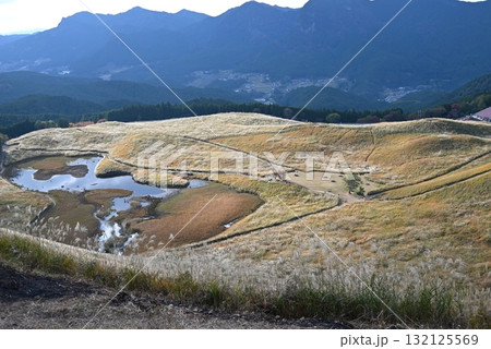 10月、奈良曽爾高原、照らされるススキ 132125569
