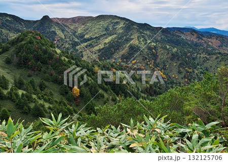 紅葉の志賀高原から北アルプスまで広がる大雲海 132125706