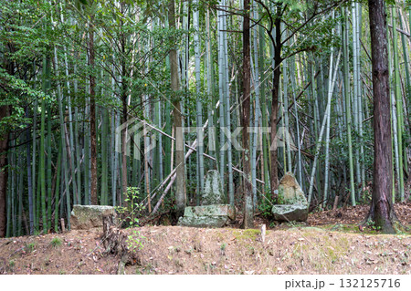 日本の岡山県総社市の吉備路のとても美しい秋の風景 日本の岡山県総社市の吉備路のとても美しい秋の風景 132125716