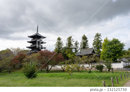 日本の岡山県総社市の吉備路のとても美しい秋の風景 132125730