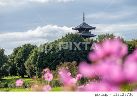 日本の岡山県総社市の吉備路のとても美しい秋の風景 日本の岡山県総社市の吉備路のとても美しい秋の風景 132125736