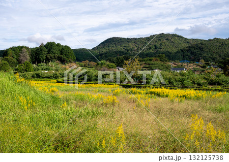 日本の岡山県総社市の吉備路のとても美しい秋の風景 132125738