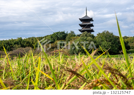 日本の岡山県総社市の吉備路のとても美しい秋の風景 日本の岡山県総社市の吉備路のとても美しい秋の風景 132125747