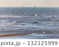 台湾 波 振る 132125999
