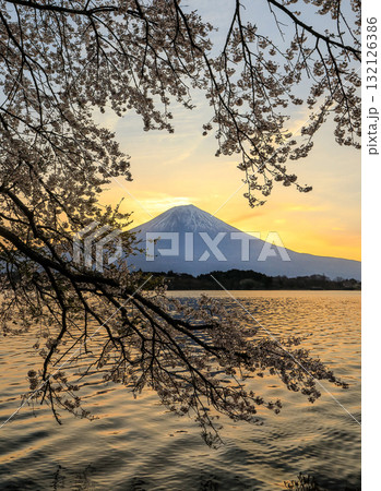 春の田貫湖の夜明け 静岡県富士宮市 春の田貫湖の夜明け 静岡県富士宮市 132126386