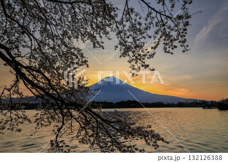 春の田貫湖の夜明け 静岡県富士宮市 春の田貫湖の夜明け 静岡県富士宮市 132126388