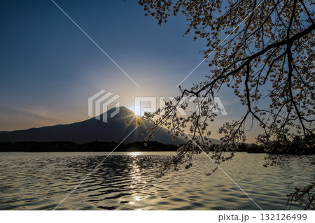 春の田貫湖の日の出　静岡県富士宮市 132126499
