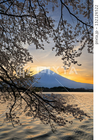 春の田貫湖の夜明け 静岡県富士宮市 春の田貫湖の夜明け 静岡県富士宮市 132126522