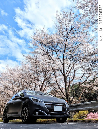 桜とプジョー 208 桜とプジョー 208 132126525
