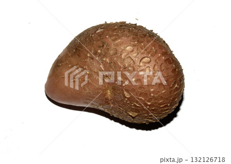 Potato grown in the garden with flaky skin scab fungus natural on white background Potato grown in the garden with flaky skin scab fungus natural on white background 132126718