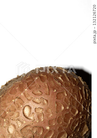 Potato grown in the garden with flaky skin scab fungus natural on white background Potato grown in the garden with flaky skin scab fungus natural on white background 132126720