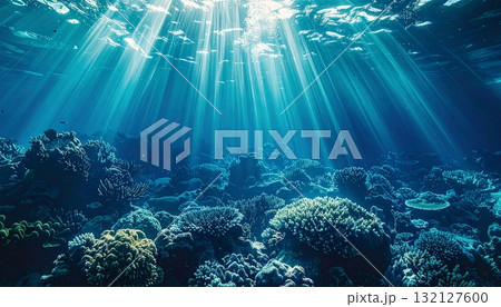 太陽の光が差し込む美しい海底の幻想的な風景 太陽の光が差し込む美しい海底の幻想的な風景 132127600