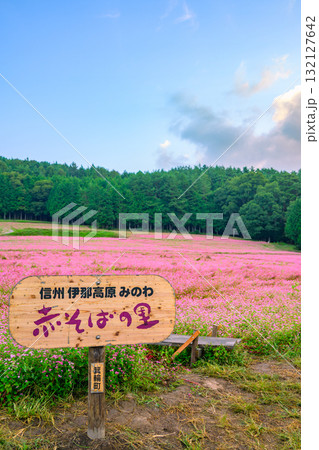 満開の赤そばの里【上伊那郡箕輪町】 132127642