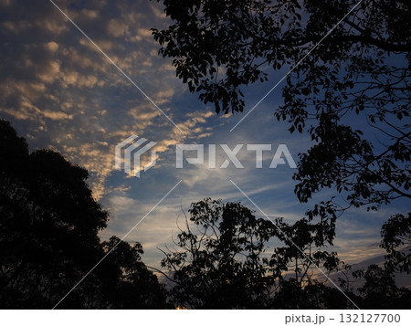 幻想的な夕景 132127700