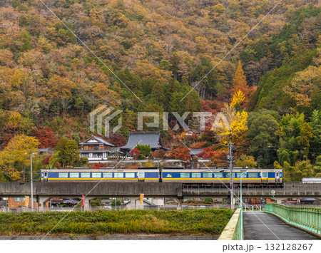 智頭急行　秋の紅葉の中を走る鳥取駅行きスーパーいなば5号1　兵庫県佐用郡佐用町 132128267