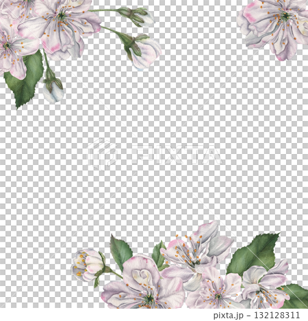 Square frame with white cherry flowers, buds and green leaves in the corner with space for text. Hand drawn watercolor illustration of spring blooming elements on isolated background. Floral layout Square frame with white cherry flowers, buds and green leaves in the corner with space for text. Hand drawn watercolor illustration of spring blooming elements on isolated background. Floral layout 132128311