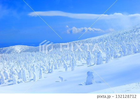 【山形県】晴天下の蔵王樹氷群 132128712