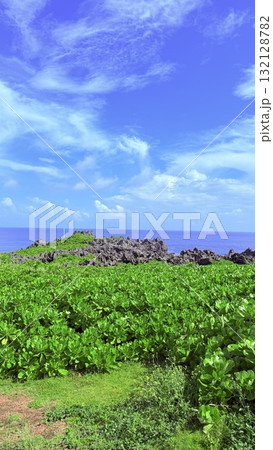 南国の美しいビーチと紺碧の空 南国の美しいビーチと紺碧の空 132128782