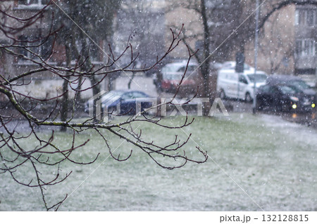 Winter landscape detail with leafless tree silhouettes. 132128815