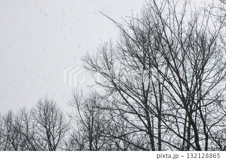 Tranquil seasonal scene with bare branches and sky. 132128865