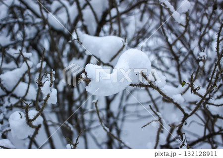 Close-up of tree branches covered in fresh snow. Close-up of tree branches covered in fresh snow. 132128911