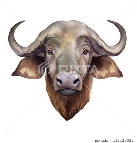 Watercolor buffalo head portrait with large curved horns isolated on transparent background. AI Generated Watercolor buffalo head portrait with large curved horns isolated on transparent background. AI Generated 132129028