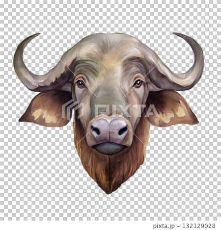 Watercolor buffalo head portrait with large curved horns isolated on transparent background. AI Generated Watercolor buffalo head portrait with large curved horns isolated on transparent background. AI Generated 132129028