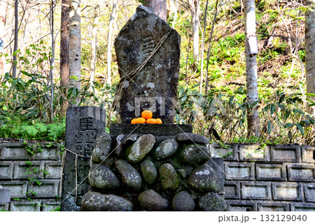 札幌市南区 定山渓神社の馬魂碑と馬頭観音碑 132129040