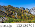 白馬の美しい紅葉 132129704