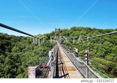 吊り橋の風景 吊り橋の風景 132129717