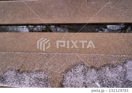 神奈川県　麻生川の桜 132129781